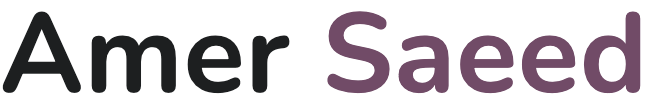 Amer Saeed — Odoo Functional Consultant